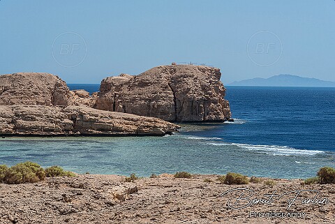 Sinai - coast