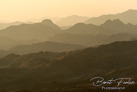 Sinai - desert