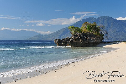 Alor