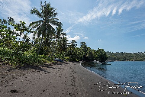 Sulawesi