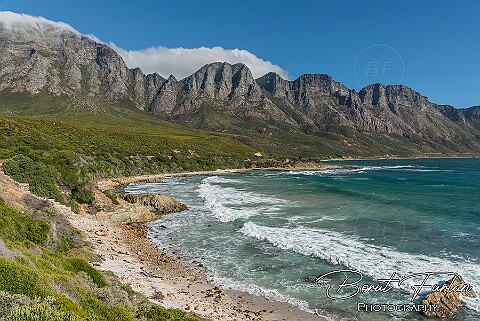 Cape Town area