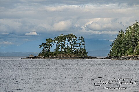 Canada (Vancouver Island)
