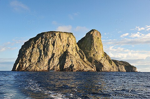 Columbia (Malpelo island)