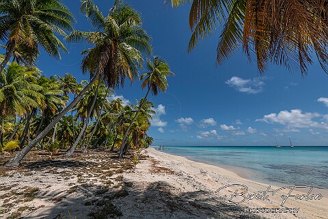 French Polynesia