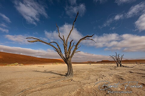 Namibia
