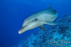 Rangiroa, French Polynesia, July 2025