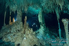 Caves - Mexican Cenotes